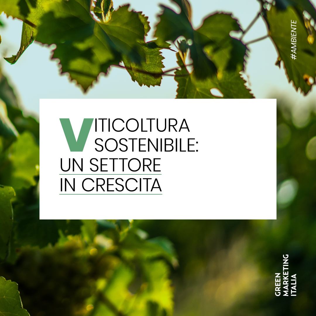 Sustainable wine growing: a strategic sector